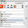 rapportgenere.png